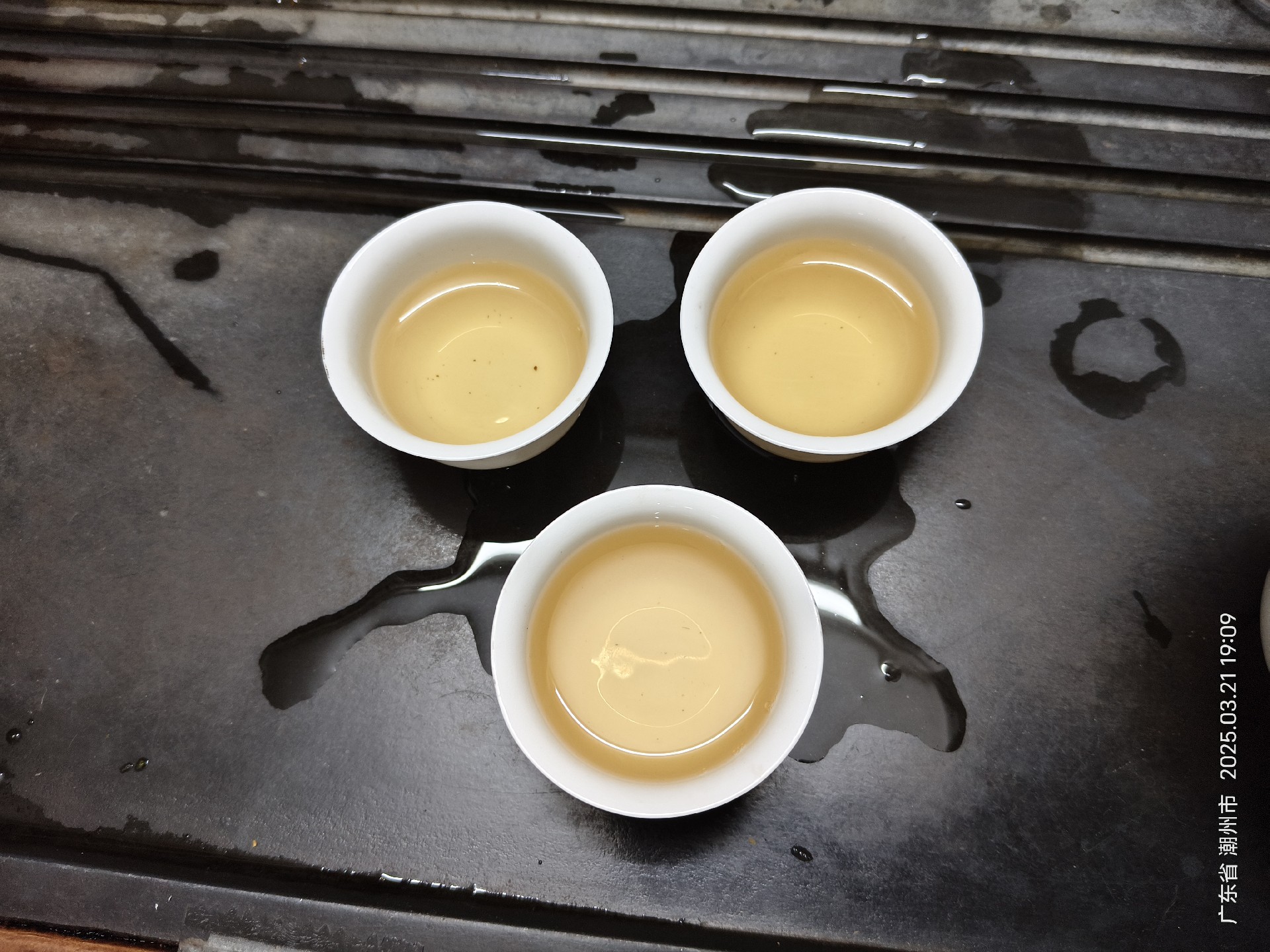蜜兰香成品新茶.jpg
